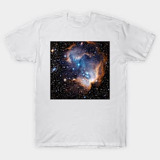 Starbirth region NGC 602 (R590/0133) T-Shirt